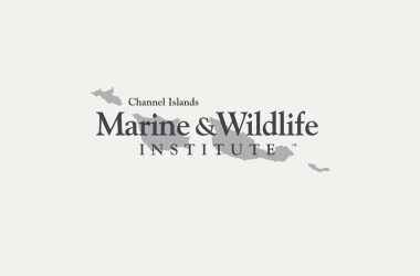 Channel Islands Marine & Wildlife Institute