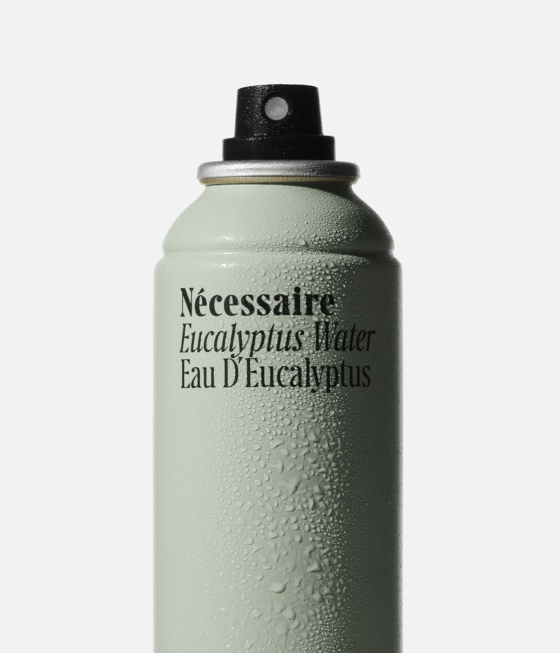 Zoom in on Eucalyptus Water Eucalyptus - Photo 4
