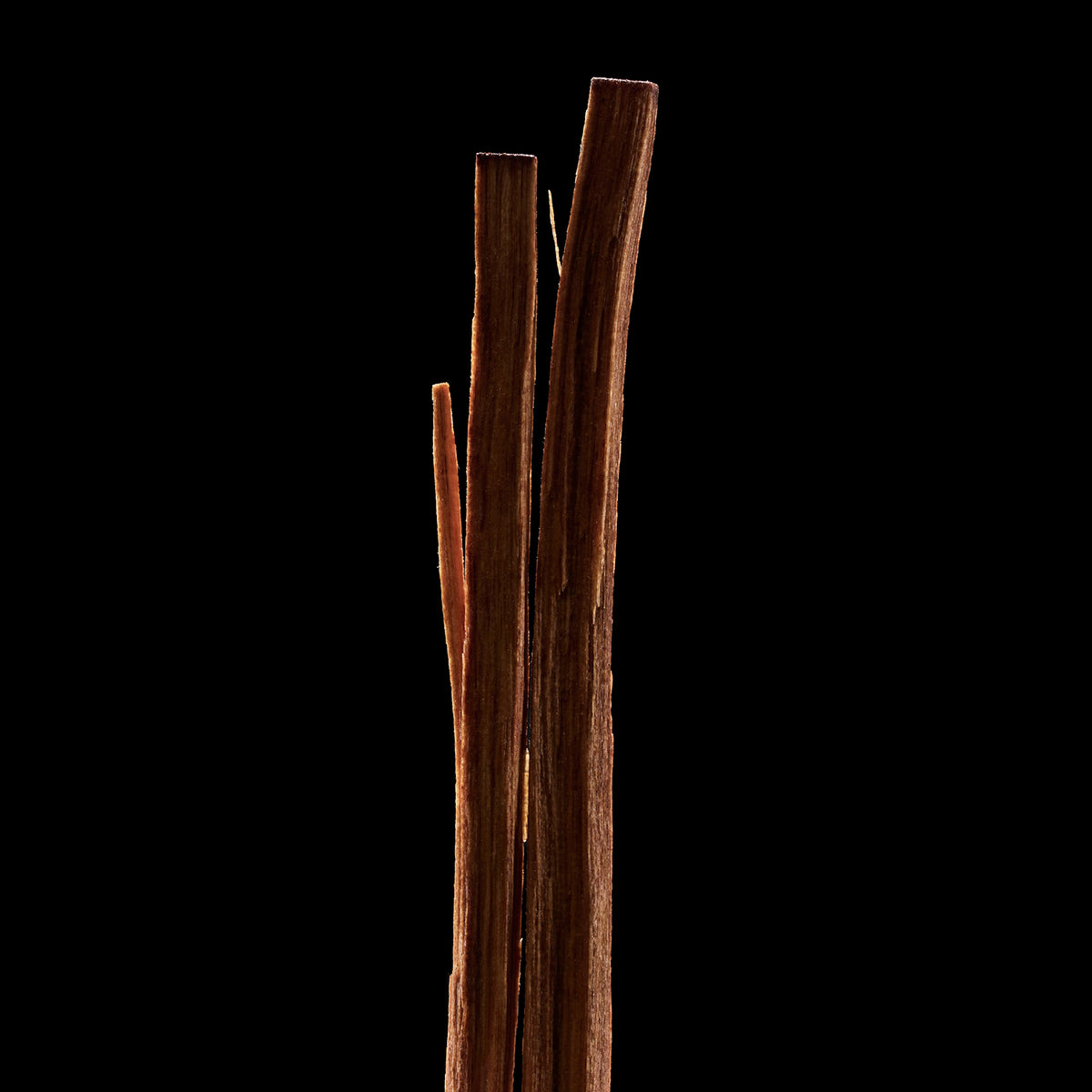 Santal