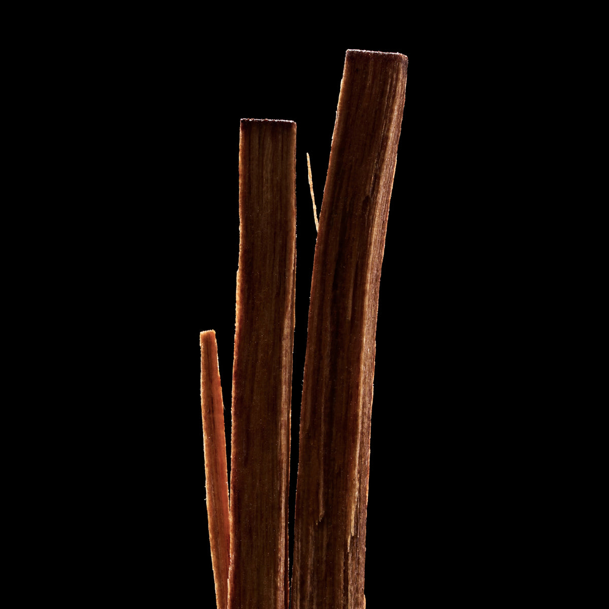 Santal